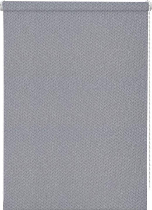 Gardinia EasyFix roller blind without drilling Lilly Green grey 75x160 incl. clamp support (75 x 160 cm)