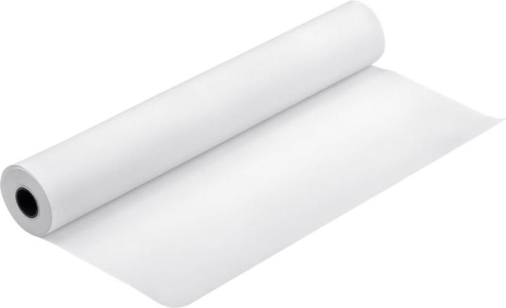 Actual product image Epson S042002 Semimatte proofing paper white inkjet 256g/m2 330mm x 30.5m 1 roll 1-pack (256 g/m², 1 x)