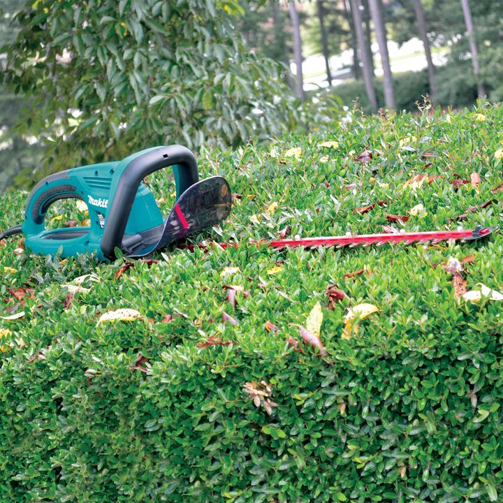 Actual product image Makita Uh5570 (Electric hedge trimmer)