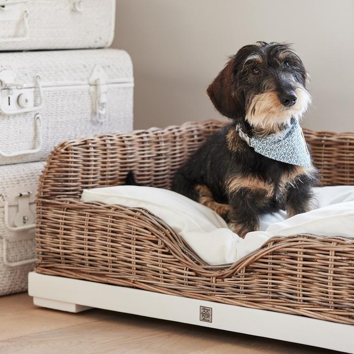 Produktbild Rivièra Maison RR Classic (Hund)