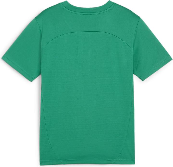 Image du produit Puma teamFINAL Training Jersey Jr (152)