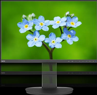 Actual product image NEC EA231WU (1920 x 1200 pixels, 22.50")