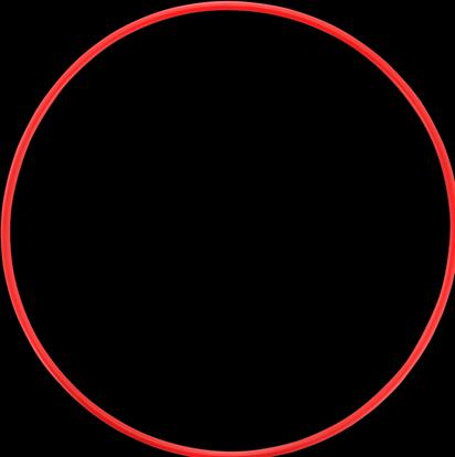 Actual product image Olympus POL-058 O-ring for PT-058 (Underwater housing, PT-058)