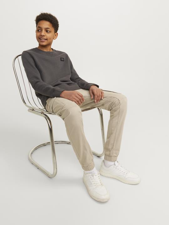 Produktbild Jack & Jones Jungs Paul Flake Cargohose (128)