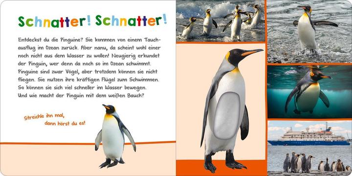 Produktbild Hör mal rein, wer kann das sein? – Im Ozean (Deutsch)