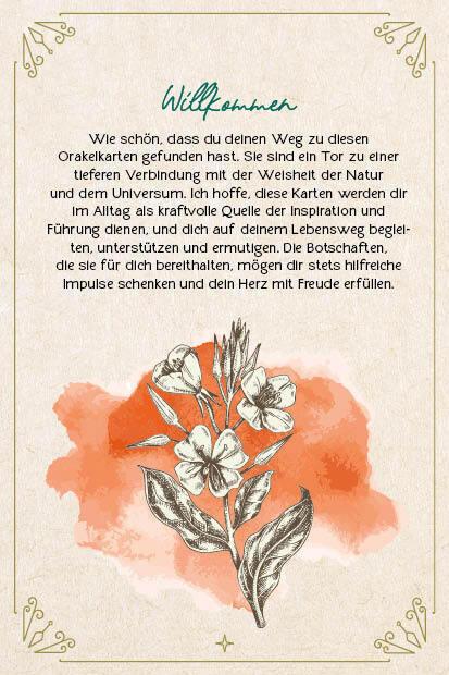 Produktbild Strassmair:Orakel-Karten-Box: Naturmome (Deutsch, Sabine Strassmair, 2024)