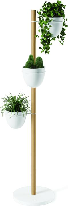 Image du produit Umbra Stand De Fleurs