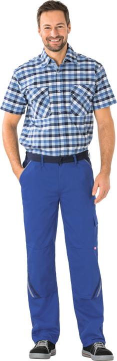 Cornflower blue, Marine, Cornet