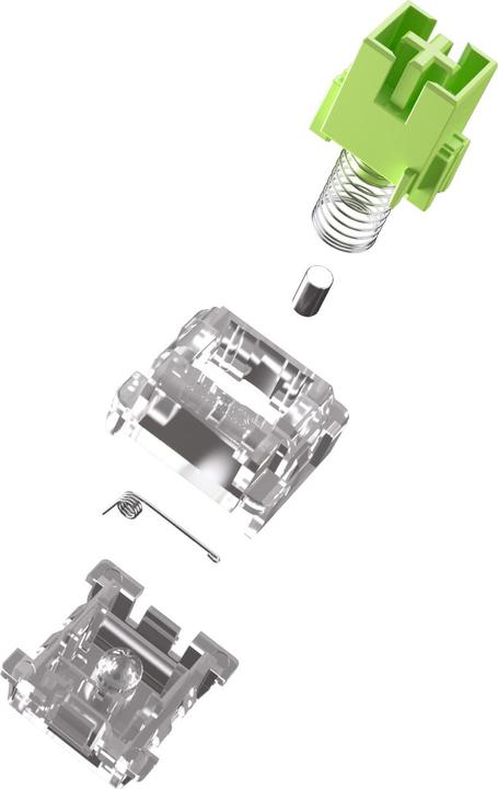Actual product image Glorious HE Switches (36pcs) - Raptor - Lubed - (Clicky) 55g