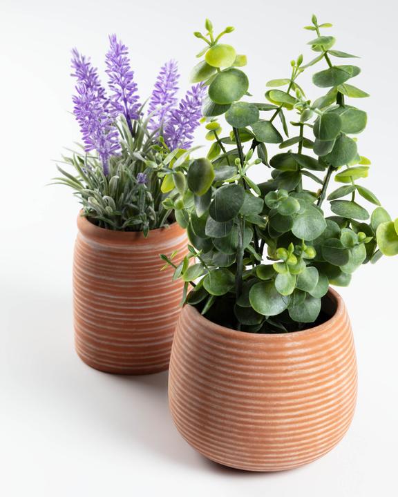 Image du produit Kave Home Eucalipto (25 cm)