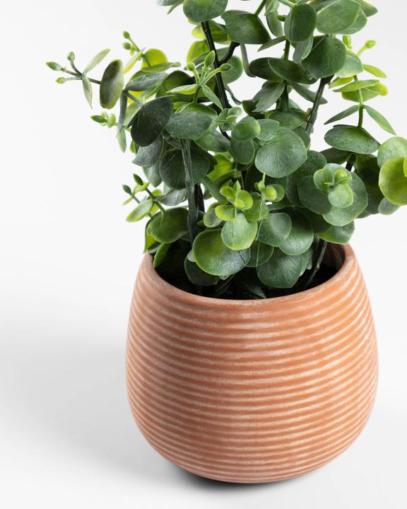 Image du produit Kave Home Eucalipto (25 cm)