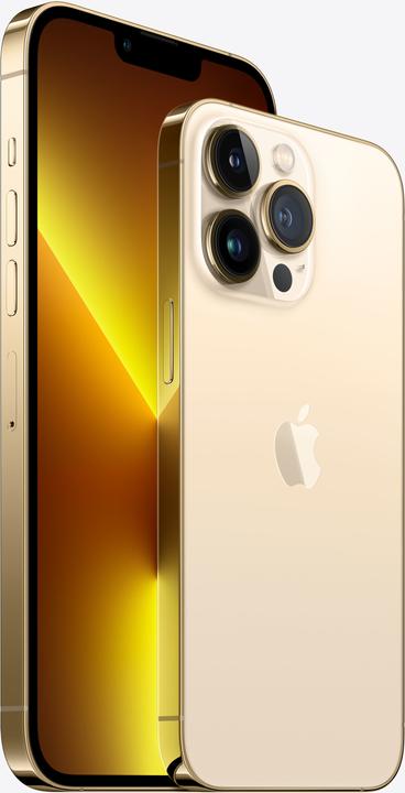 Actual product image Apple iPhone 13 Pro Max (256 GB, Gold, 6.70", SIM + eSIM, 12 Mpx, 5G)