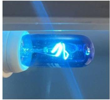 Image du produit Alternativ ampoule bleue pour réfrigérateur 40 watts pour 614981, 00614981