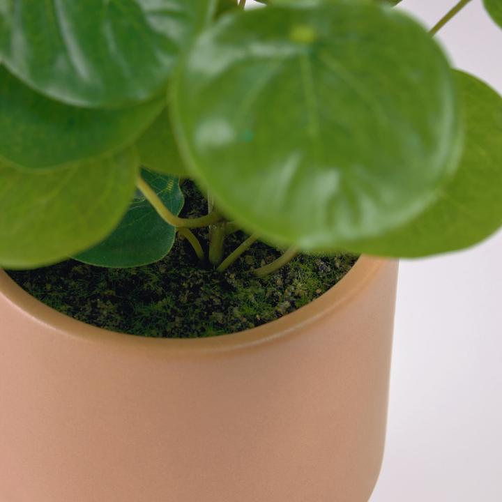 Image du produit Kave Home Bailey (28 cm)