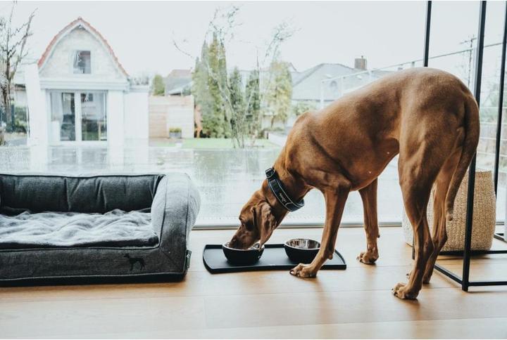 Image du produit Hunter Food bowl base, black S - (64503)