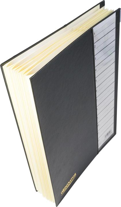 Produktbild Exacompta Ordnungsmappen mit Faltenrücke (A4, 1 x)