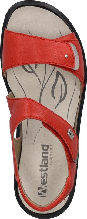 Immagine prodotto Westland 25901-644 (38)