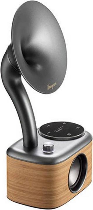 Actual product image Sangean CP 100D (DAB+, DAB, FM, Bluetooth)