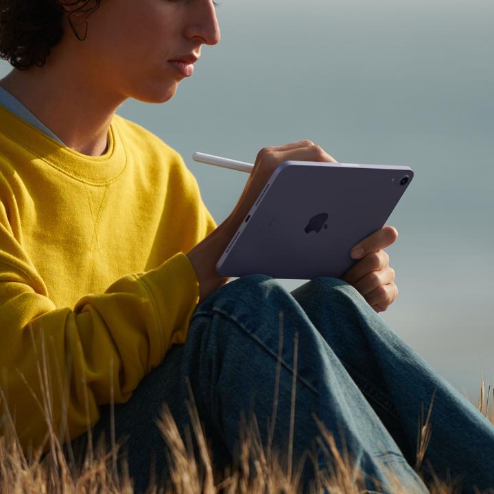 Actual product image Apple iPad mini 2021 (6.Gen) (WLAN only, 8.30", 256 GB, Starlight)