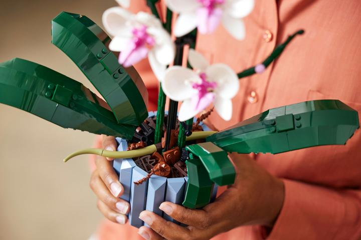 Produktbild LEGO Orchidee (10311, LEGO Botanical)