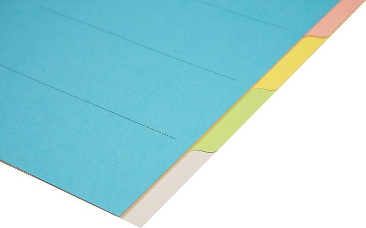 Actual product image Biella Cardboard tab