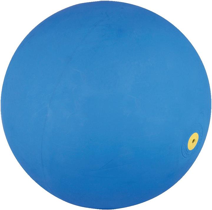 Actual product image WV Ball Acoustic ball (19 cm)