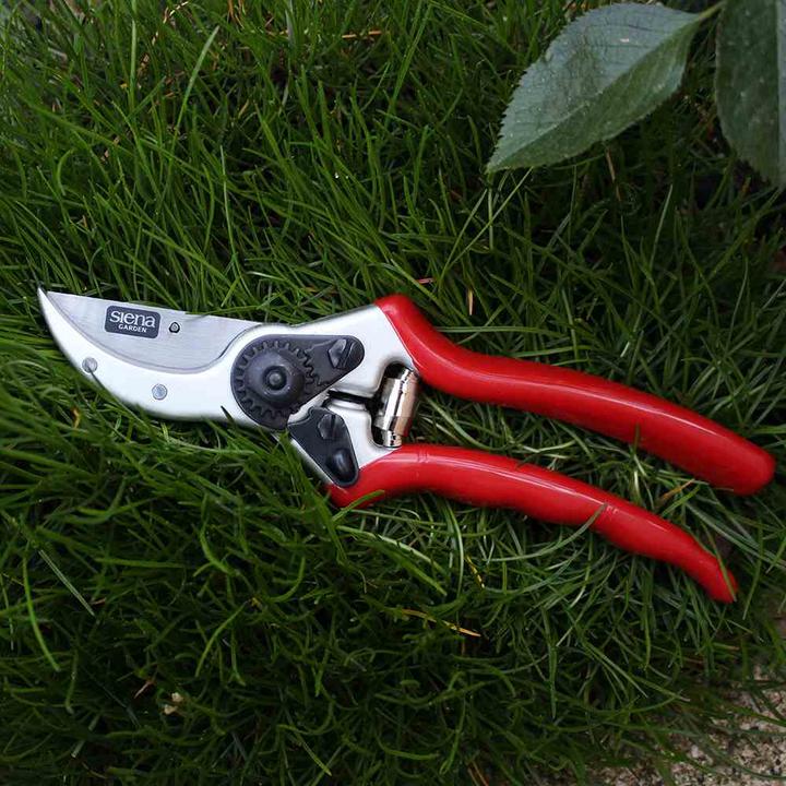 Actual product image Siena Garden Bypass