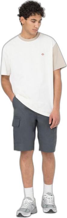 Produktbild Dickies Millerville Short (32)