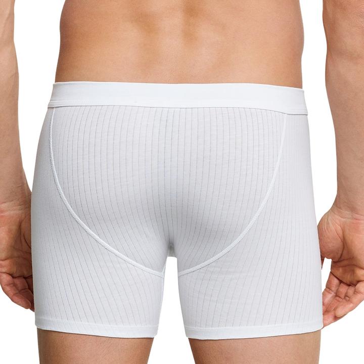 Actual product image Schiesser Pack of 4 Cotton Essentials Authentic Cotton Essentials Authentic (XL, pack of 4)
