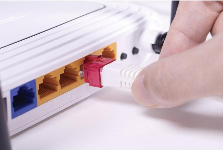 Actual product image Renkforce Snap-in repair clip for network cable 10 pcs. (Cable Accessories)