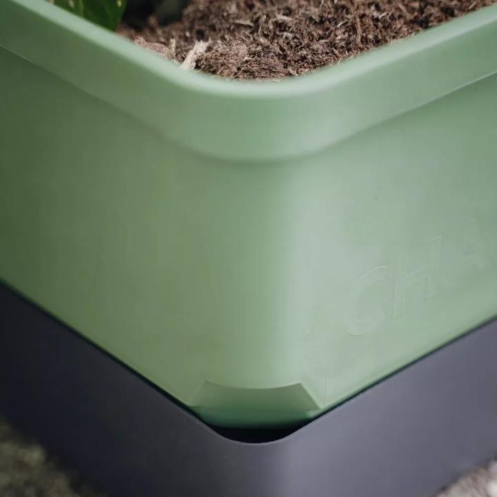 Produktbild Gusta Garden Charly Chili (35 cm)