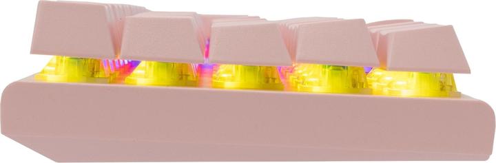 Actual product image Shark GK-002421 Wakizashi Pink US Blue Switches (US, Cable)