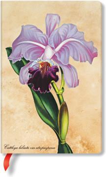 Actual product image Paperblanks Notebook Brazilian Orchid (95 x 140 mm, Lined, Hardcover)