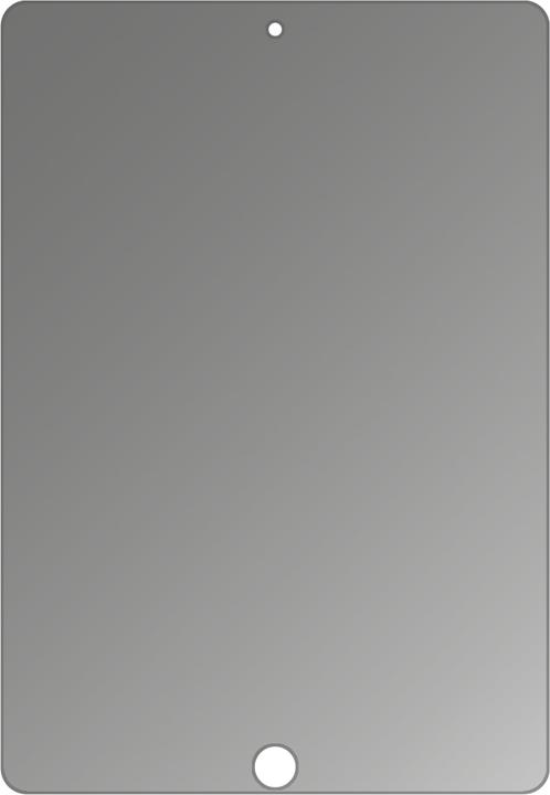 Actual product image Dipos Screen Protector 4-Way Privacy (1 Piece, iPad 10.2)
