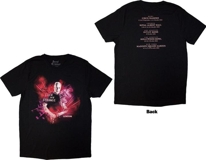 David Gilmour Luck & Strange London