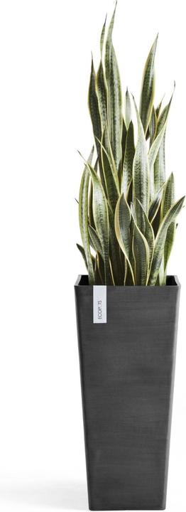 Actual product image Ecopots Rotterdam High (32 cm)