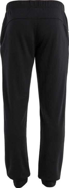 Actual product image Icebreaker Shifter II Pants (M)