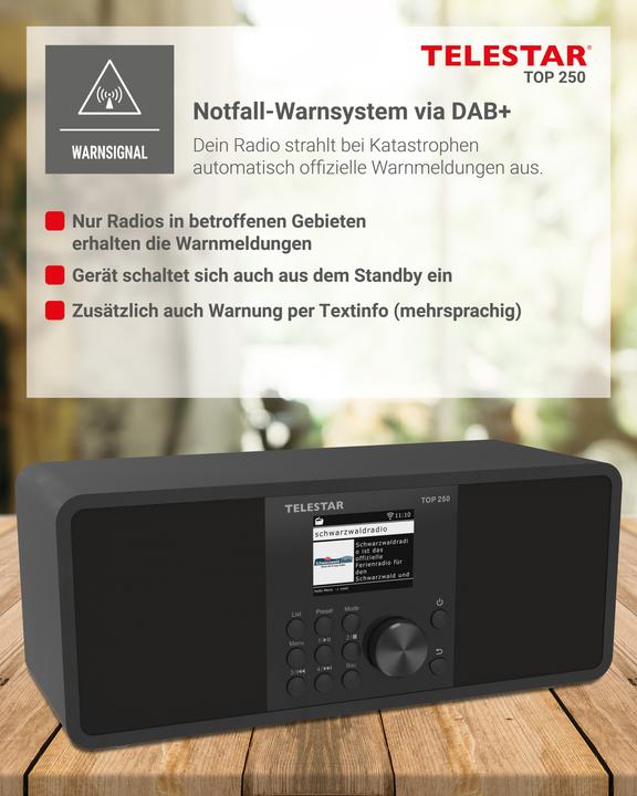 Immagine prodotto Telestar TOP 250 DAB+ Internetradio schwarz (Web radio, VHF, DAB, Bluetooth, WiFi)