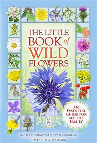 Produktbild Feather Andrea Pinnington (Englisch, Caz Buckingham, Andrea Pinnington, 2021)