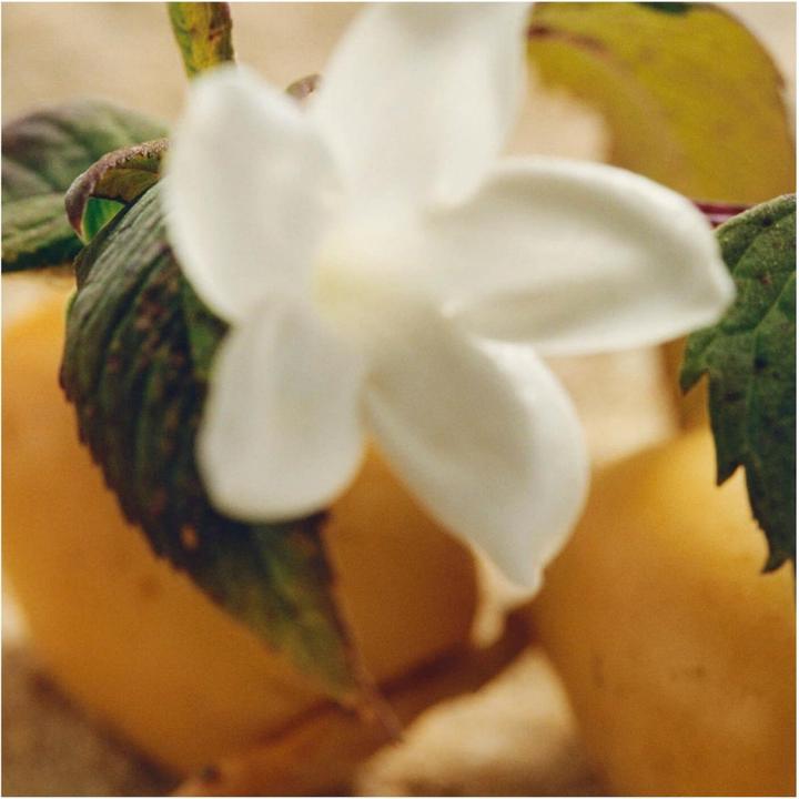 Immagine prodotto Chloé Eau de Parfum Naturelle Intense (Eau de parfum, 30 ml)