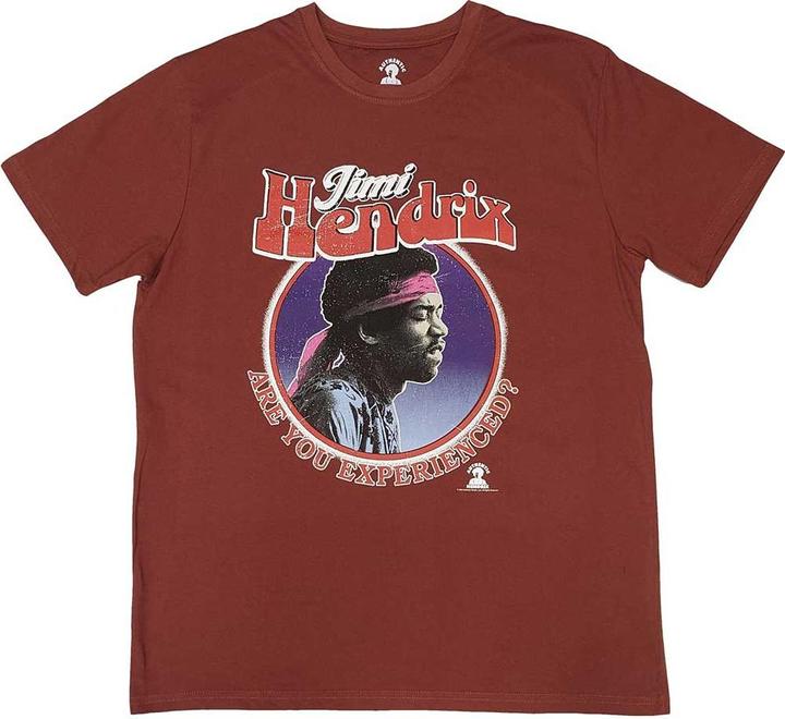 Jimi Hendrix Are You Experienced
