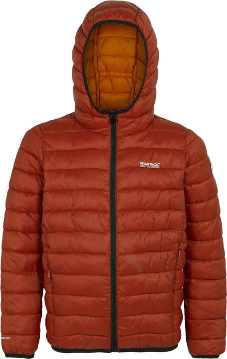 Regatta Marizion Steppjacke mit Kapuze (164)