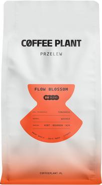 Produktbild Coffee Plant FLOW Blossom Filter