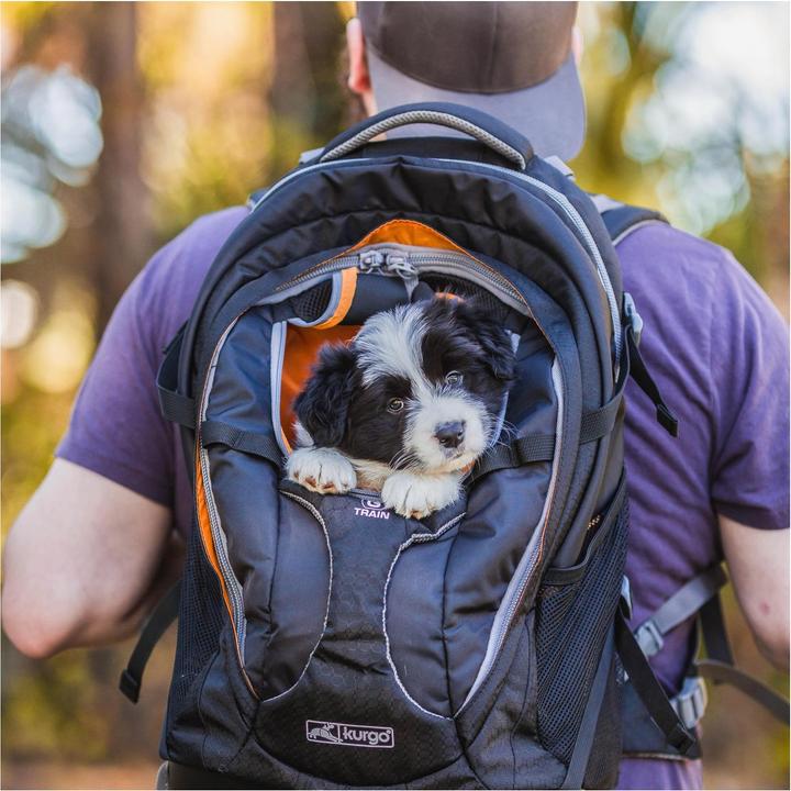 Immagine prodotto Kurgo G-Train K9 (Cane, Lavabile in lavatrice, Traspirante)