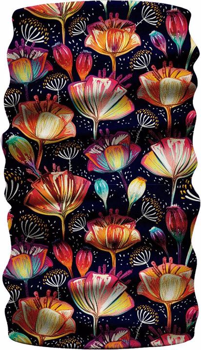 Tulipa
