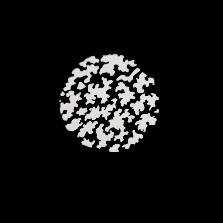 Produktbild Nanlite Projektionsaufsatz mit 19° Linse (Bowens Mount) (Diverse)