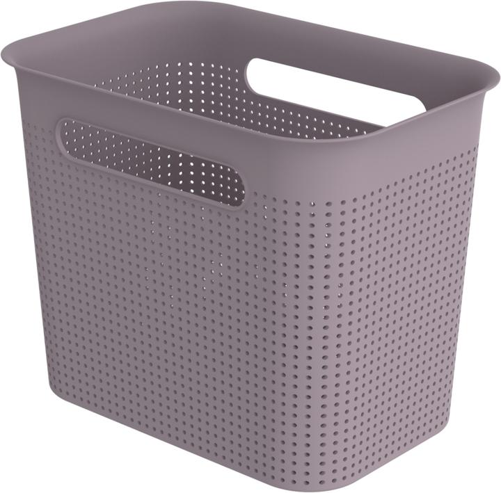 Rotho BRISEN Box narrow