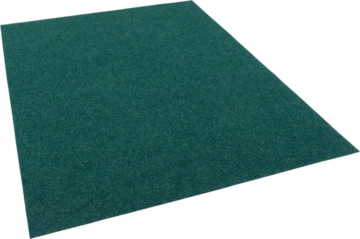 Immagine prodotto Snapstyle K trasen (200 x 150 cm)