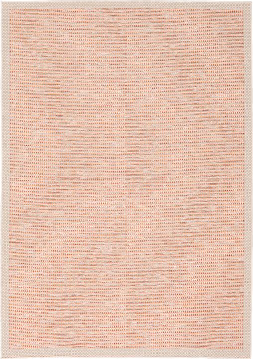 Immagine prodotto Pergamon Tappeto Indoor & Outdoor Flatweave Ottawa Border (80 x 150 cm)