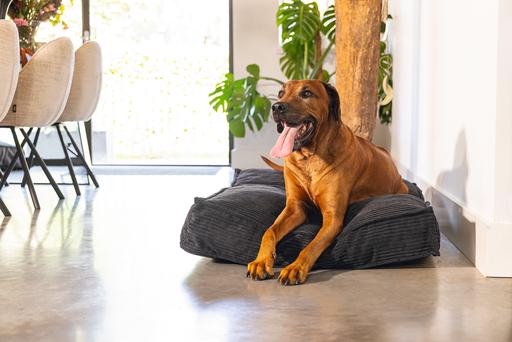 Actual product image Designed by Lotte Ribbed Cushion (Dog)